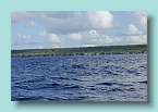 Niue North Coast